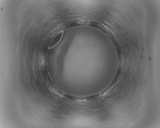 X0000088631154200705251425