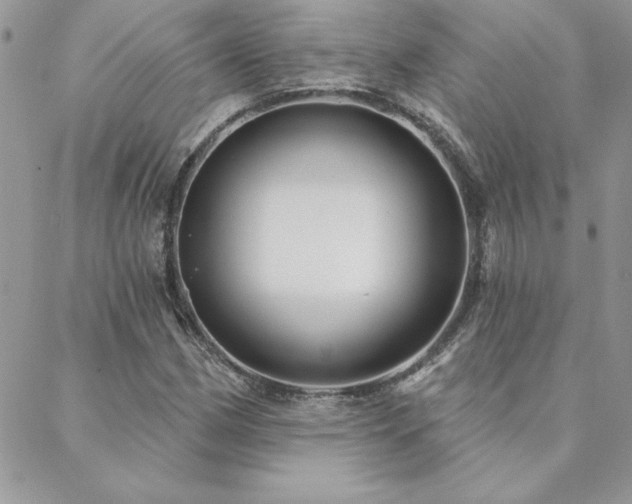 X0000088631162200705251425