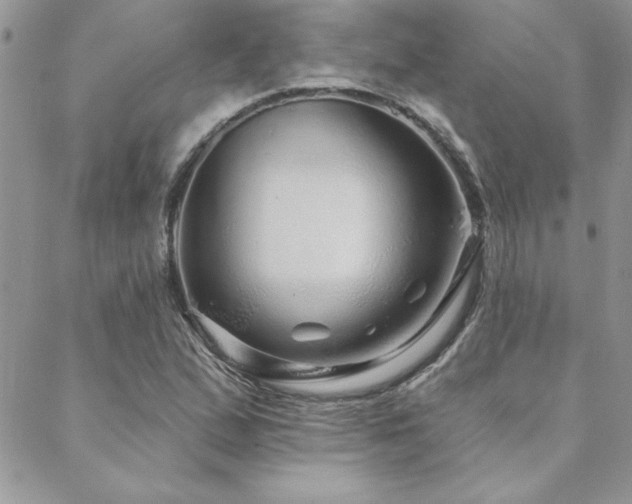 X0000088631167200705251425
