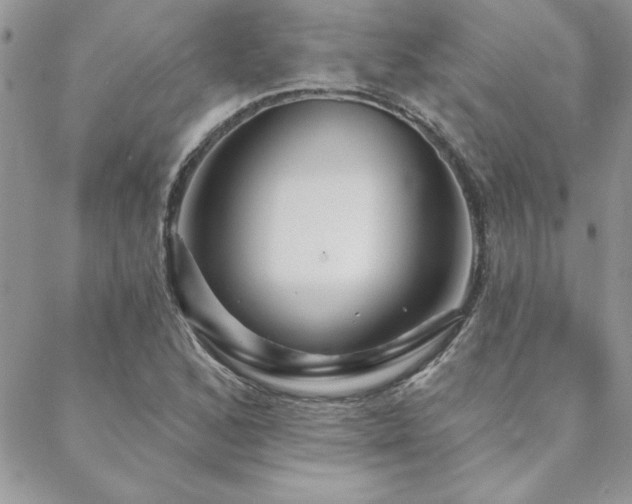 X0000088631168200705251425