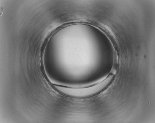 X0000088631172200705251425