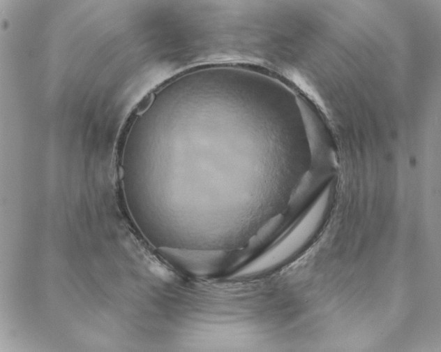 X0000088631173200705251425