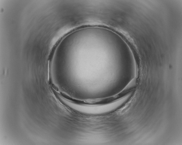 X0000088631175200705251425