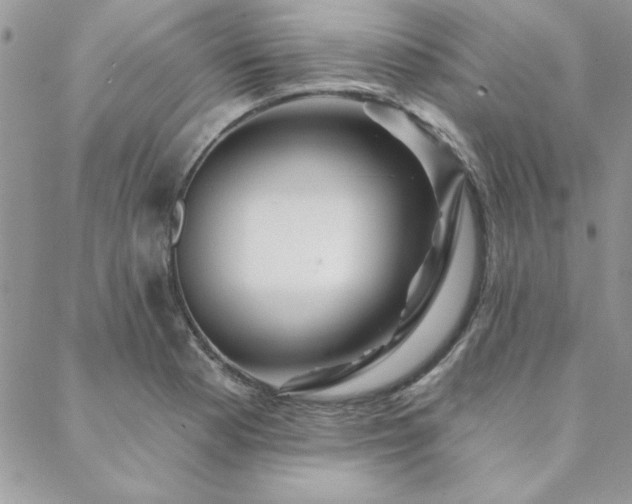 X0000088631177200705251425