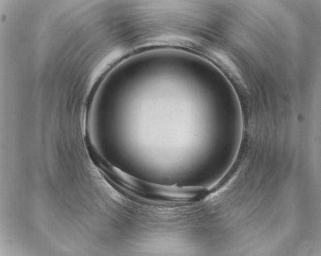 X0000088631180200705251425