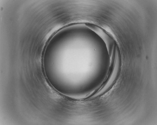 X0000088631181200705251425