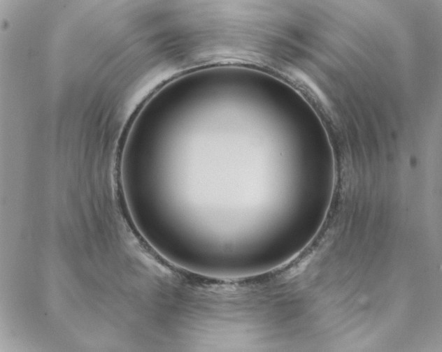 X0000088631182200705251425