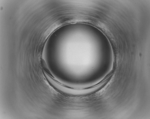 X0000088631185200705251425