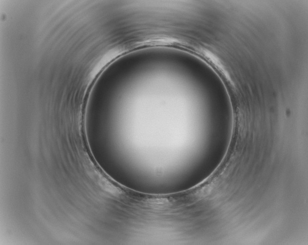 X0000088631186200705251425