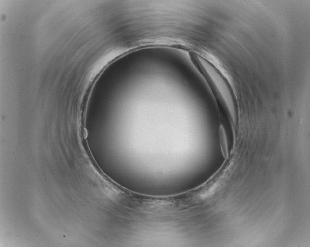 X0000088631187200705251425