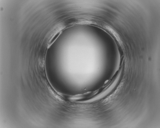 X0000088631193200705251425