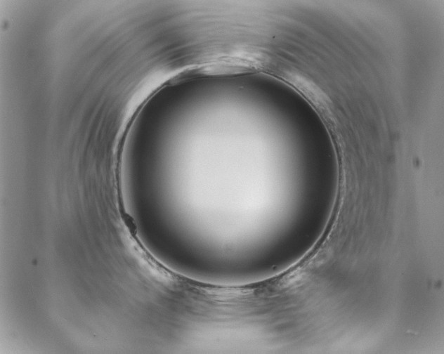 X0000088631200200705251425