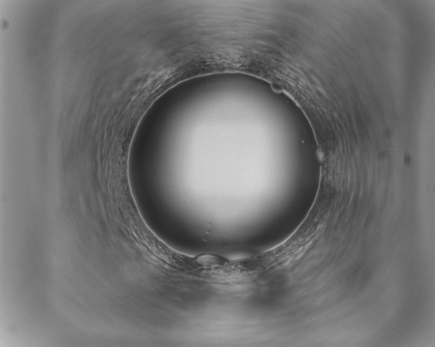 X0000088631201200705251424
