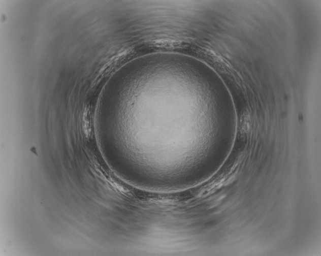 X0000088631202200705251424