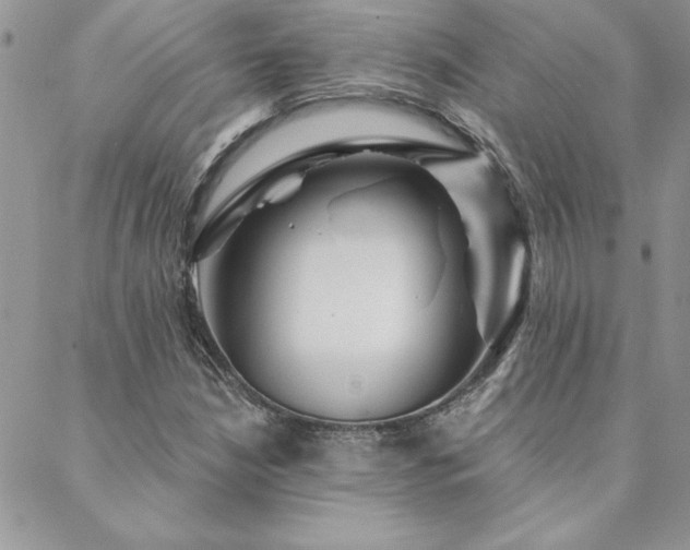 X0000088631210200705251424