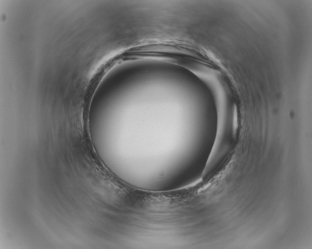 X0000088631214200705251424