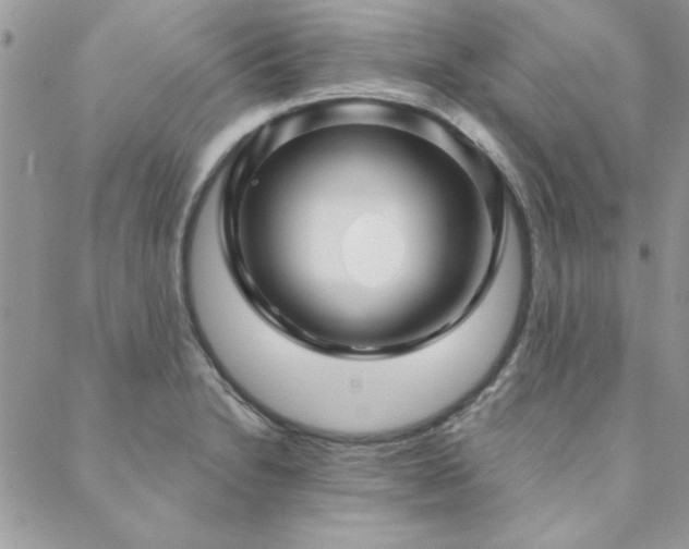 X0000088631230200705251424