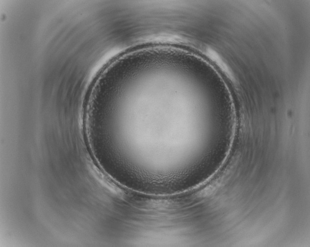 X0000088631232200705251424