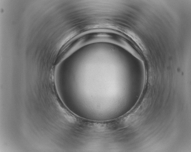 X0000088631241200705251424