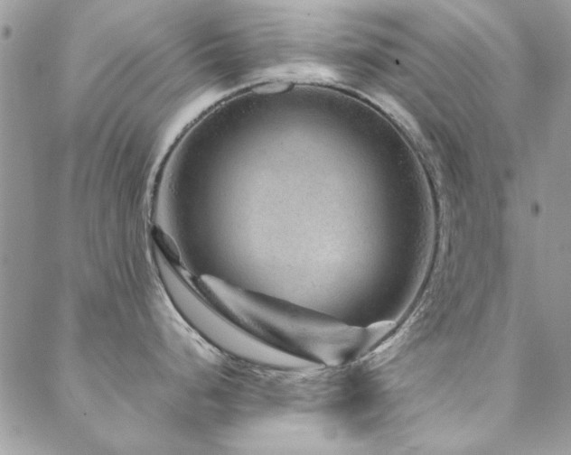 X0000088631248200705251425