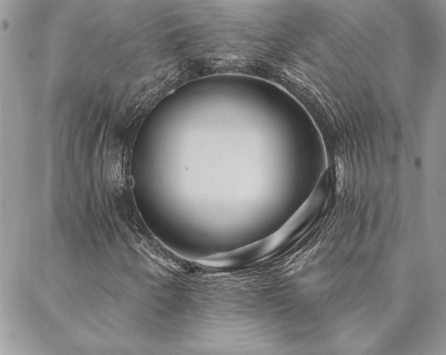 X0000088631250200705251424