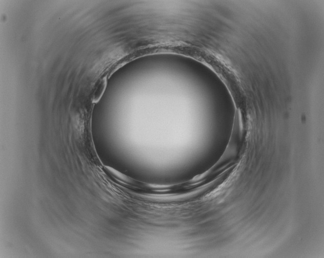 X0000088631257200705251424