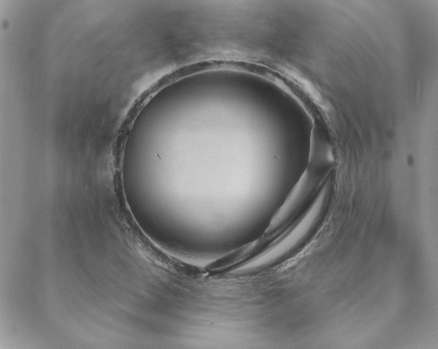 X0000088631264200705251424