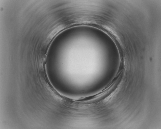 X0000088631273200705251423
