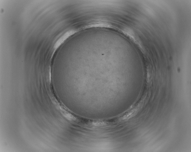 X0000088631274200705251423