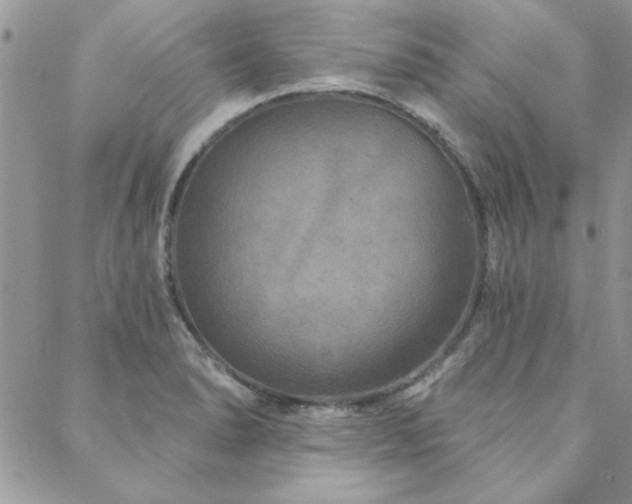 X0000088631278200705251423
