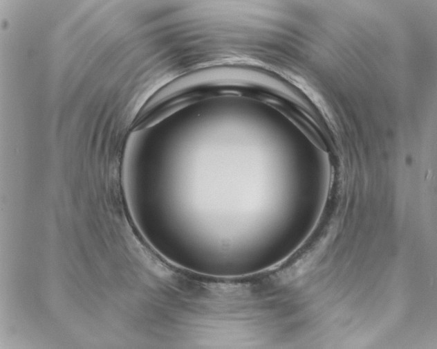 X0000088631281200705251423