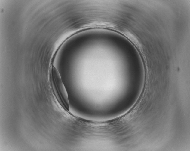 X0000088631296200705251423