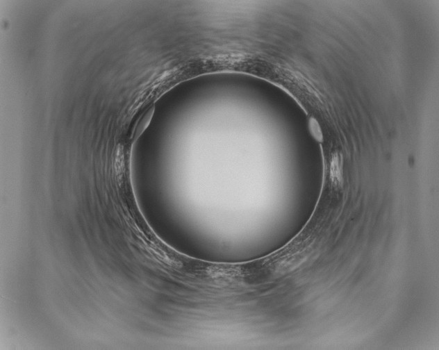 X0000088631299200705251422