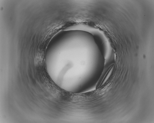 X0000088631300200705251422