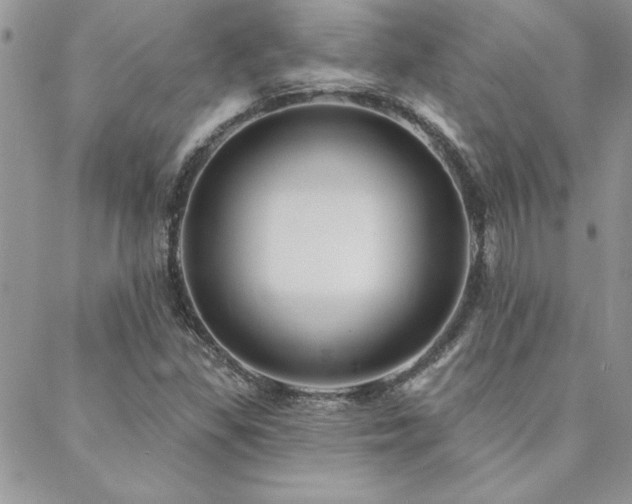X0000088631309200705251422