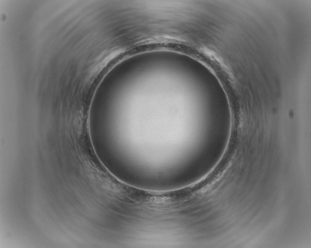 X0000088631313200705251422