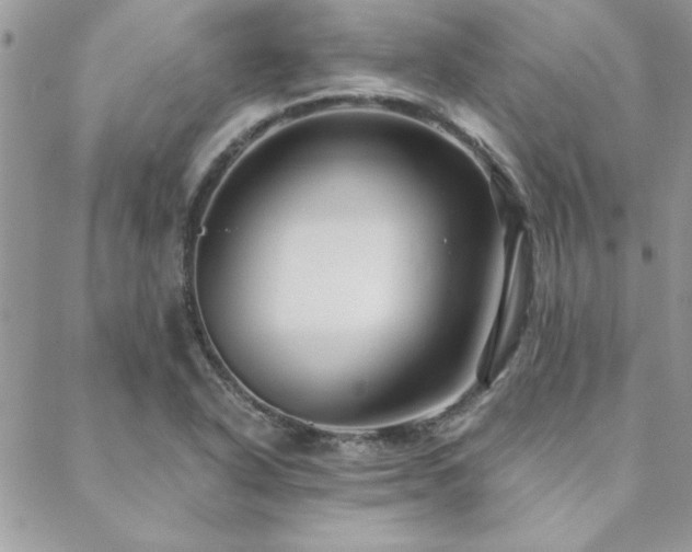 X0000088631318200705251423