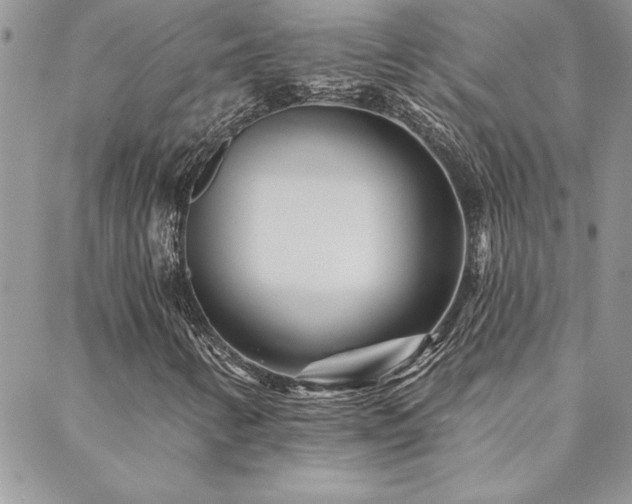 X0000088631346200705251422