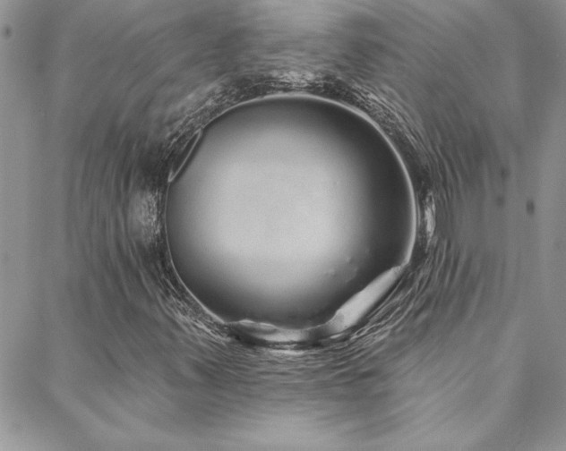 X0000088631347200705251422