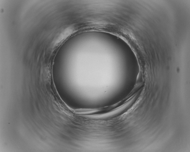 X0000088631354200705251422