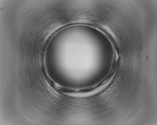 X0000088631356200705251422