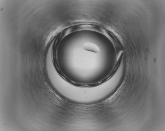 X0000088631357200705251422