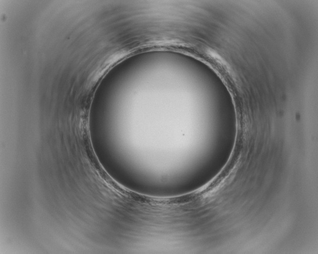 X0000088631361200705251422