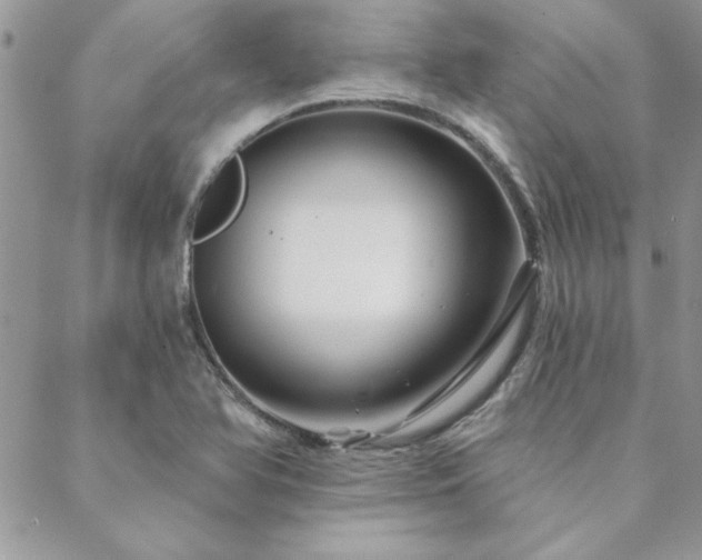 X0000088631366200705251422