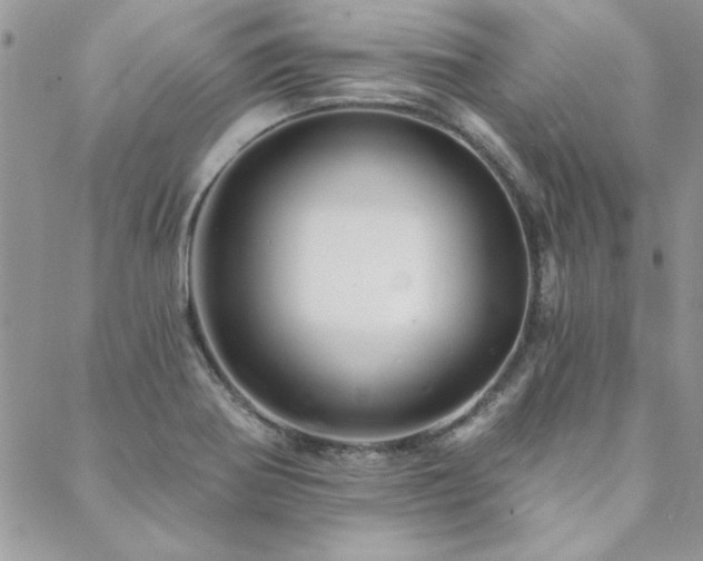 X0000088631370200705251422