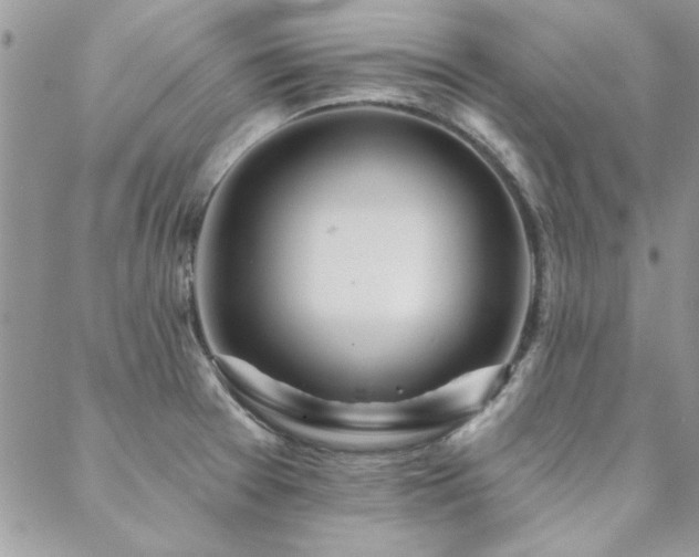 X0000088631377200705251422
