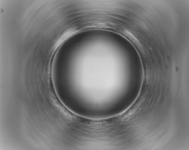 X0000088631378200705251422