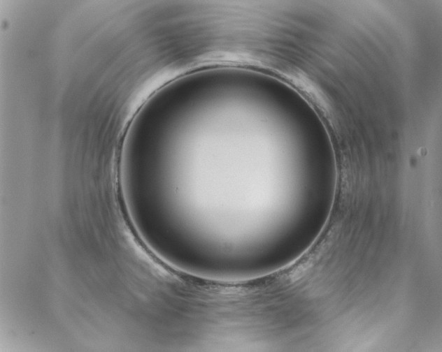 X0000088631382200705251422