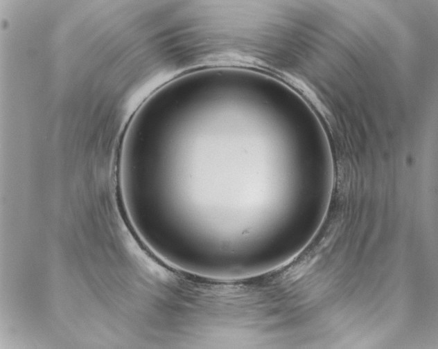 X0000088631387200705251421