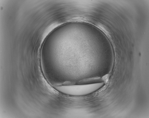 X0000088631392200705251421